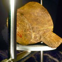 wooden_cup_T10.jpg