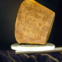 wooden_cup_T8.jpg