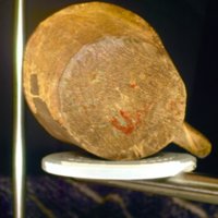 wooden_cup_T9.jpg