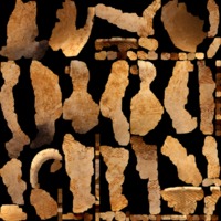 textured_material0001_map_Kd.png