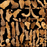 textured_material0002_map_Kd.png