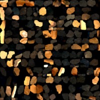textured_material0025_map_Kd.png