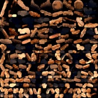 textured_material0001_map_Kd.png
