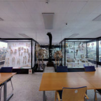 6255-thumbnail.jpg