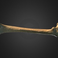 64-thumbnail.jpg