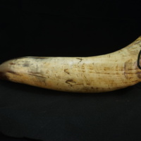 Picture.JPG
