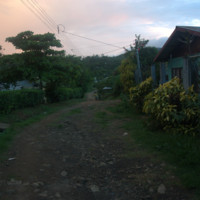 DSC01244.jpg