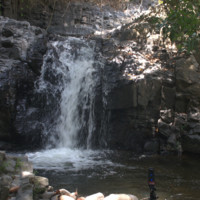 DSC02176.jpg