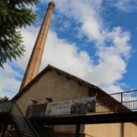 MUSEO_RAJOLERIA_DE_PAIPORTA_1.jpg