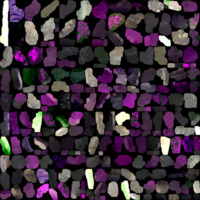 model_material0003_map_Kd.png