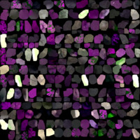 model_material0006_map_Kd.png
