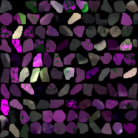 model_material0008_map_Kd.png
