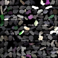 model_material0004_map_Kd.png