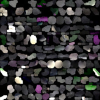 model_material0005_map_Kd.png