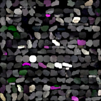 model_material0009_map_Kd.png