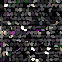 model_material0013_map_Kd.png