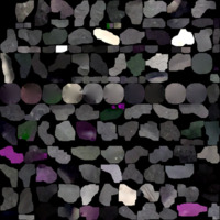 model_material0019_map_Kd.png