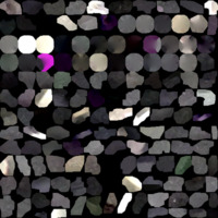 model_material0031_map_Kd.png