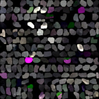 model_material0049_map_Kd.png