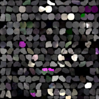 model_material0050_map_Kd.png
