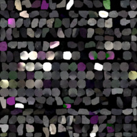 model_material0055_map_Kd.png