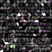 model_material0056_map_Kd.png