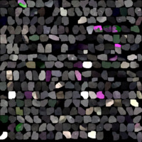 model_material0063_map_Kd.png