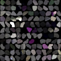 model_material0077_map_Kd.png
