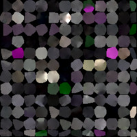 model_material0081_map_Kd.png