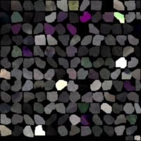 model_material0095_map_Kd.png
