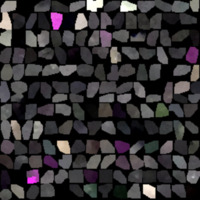 model_material0113_map_Kd.png