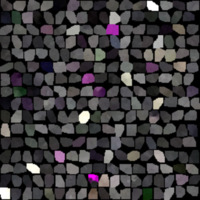 model_material0145_map_Kd.png