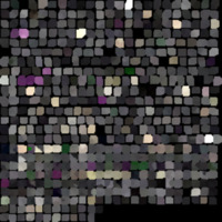 model_material0172_map_Kd.png